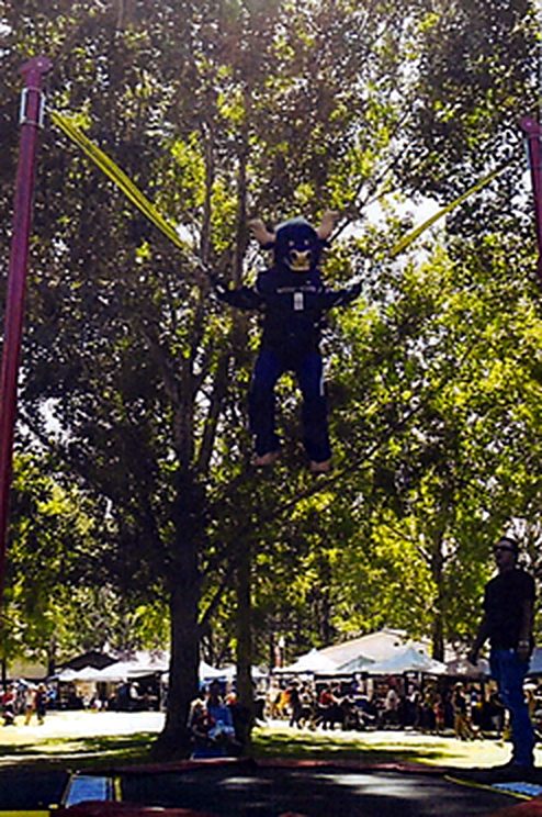 Jumper on a Trampoline Thing