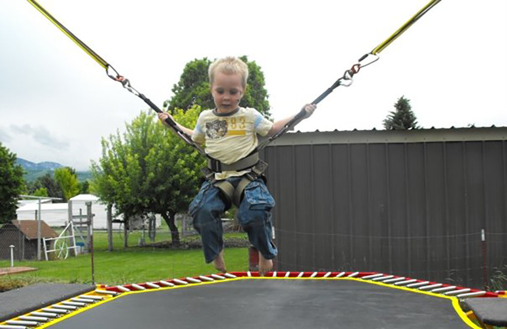 The Harness